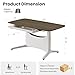 COLAMY LumiDesk All-in-1 Electric Standing Desk, Height Adjustable Desk (MFC Desktop, Walnut + White)