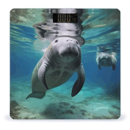 Báscula Digital Oceánica Manatí para Peso Corporal Precisa miniatura 1