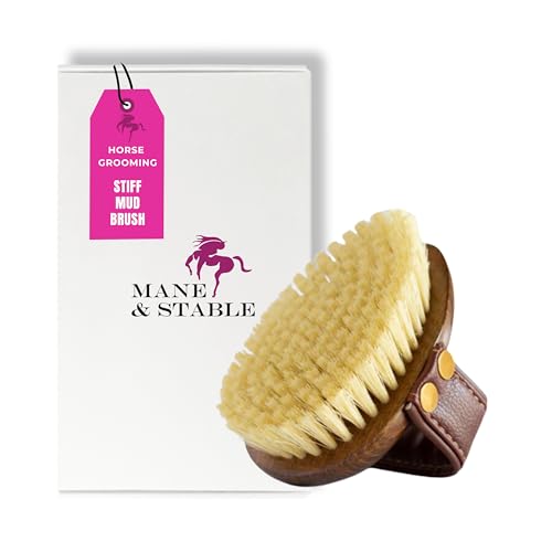 Horse Brush For Grooming. Mud & Dirt Removal With Stiff Bristles. Ideal For Your Horse Brush Set. Compact Size For Hard-to-Reach Areas. Premium Equine Care Tool For Your Horse Grooming Kit