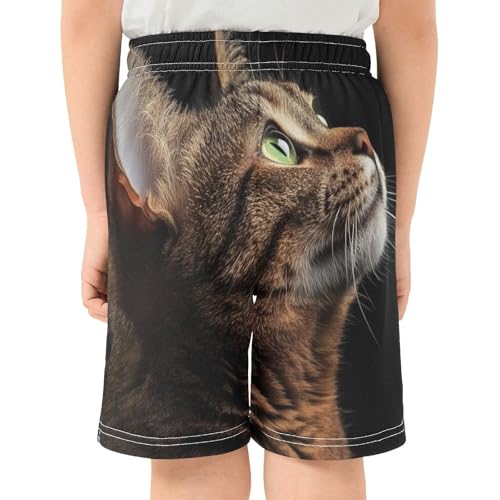 Cat Kids Shorts Pull-on Boys Shorts with Elastic Waist Casual Athletic Pants for Outdoor Summer Playwear3