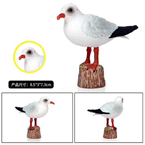 Simulation solide animal sauvage oiseau volant pour vitrine