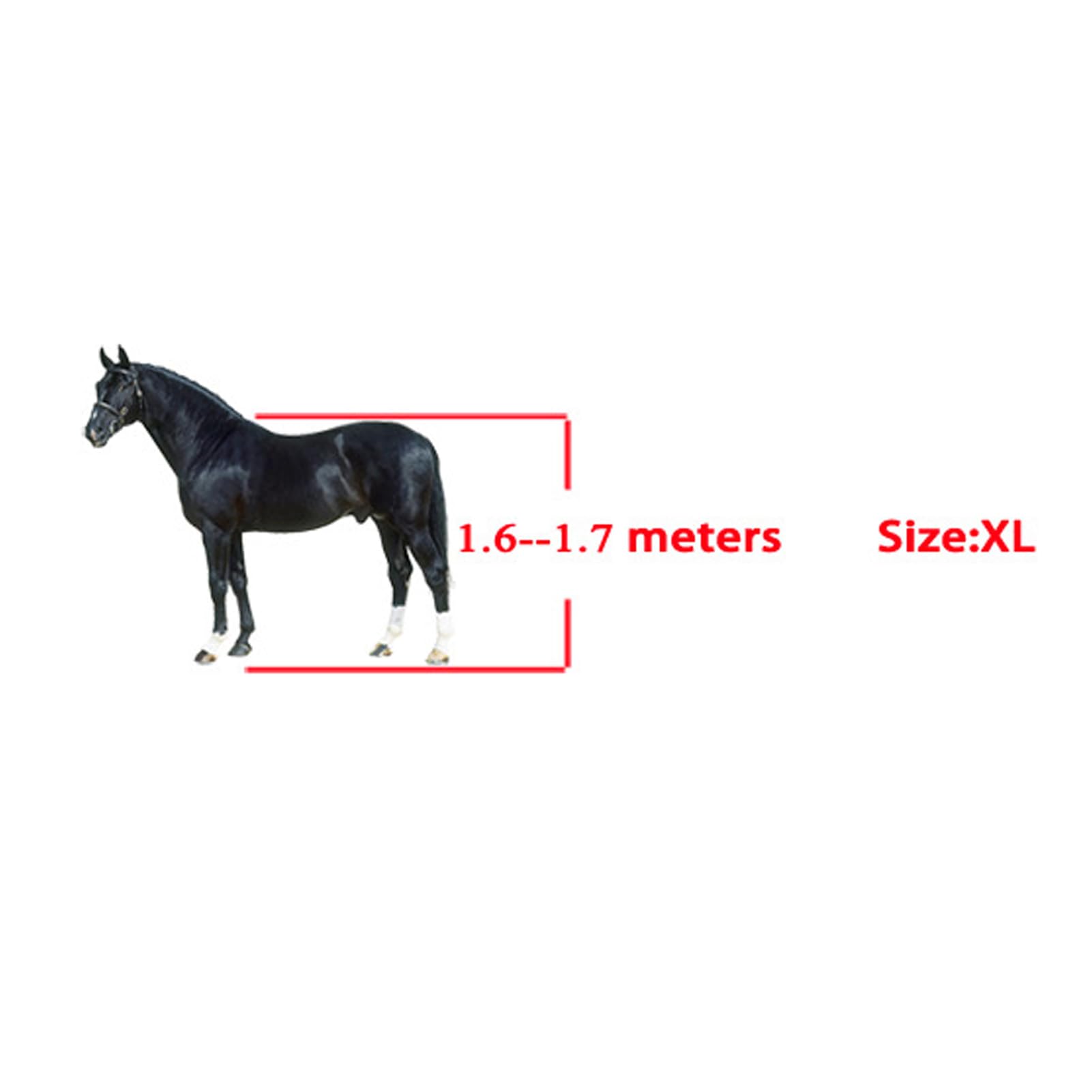 Tnfeeon Stivali per Tendini per Guscio in PU con Fodera in Neoprene Stivali Sportivi per Protezione Leggera per Le Gambe Anteriori e Posteriori con Cinghie Antiscivolo per Allenamenti di Guida in