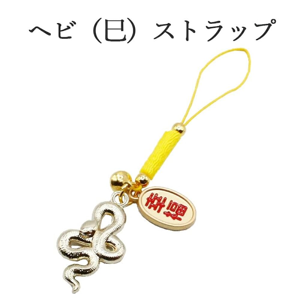 ラス１‼️新年巳年の為！第3の目 魔除けのブレス 金運・開運 巳（ヘビ）水晶パワーストーンブレスレット 通販