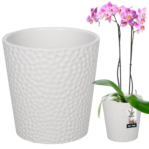 KOTARBAU® Blumentopf Weiß Keramik Glasiert ⌀ 12 cm Höhe: 15 cm Orchideentopf Pflanztopf Modern für Zimmerpflanzen