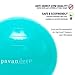 Pavandeep Exercise Ball Chair, BPA Free (Aqua Teal, XS 45cm)