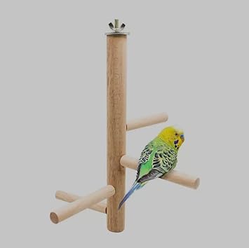 FunMart Tree Type Perch Stand with 4 Branches, Made of untreated Natural Wood (Main stem Length 10 Inches)