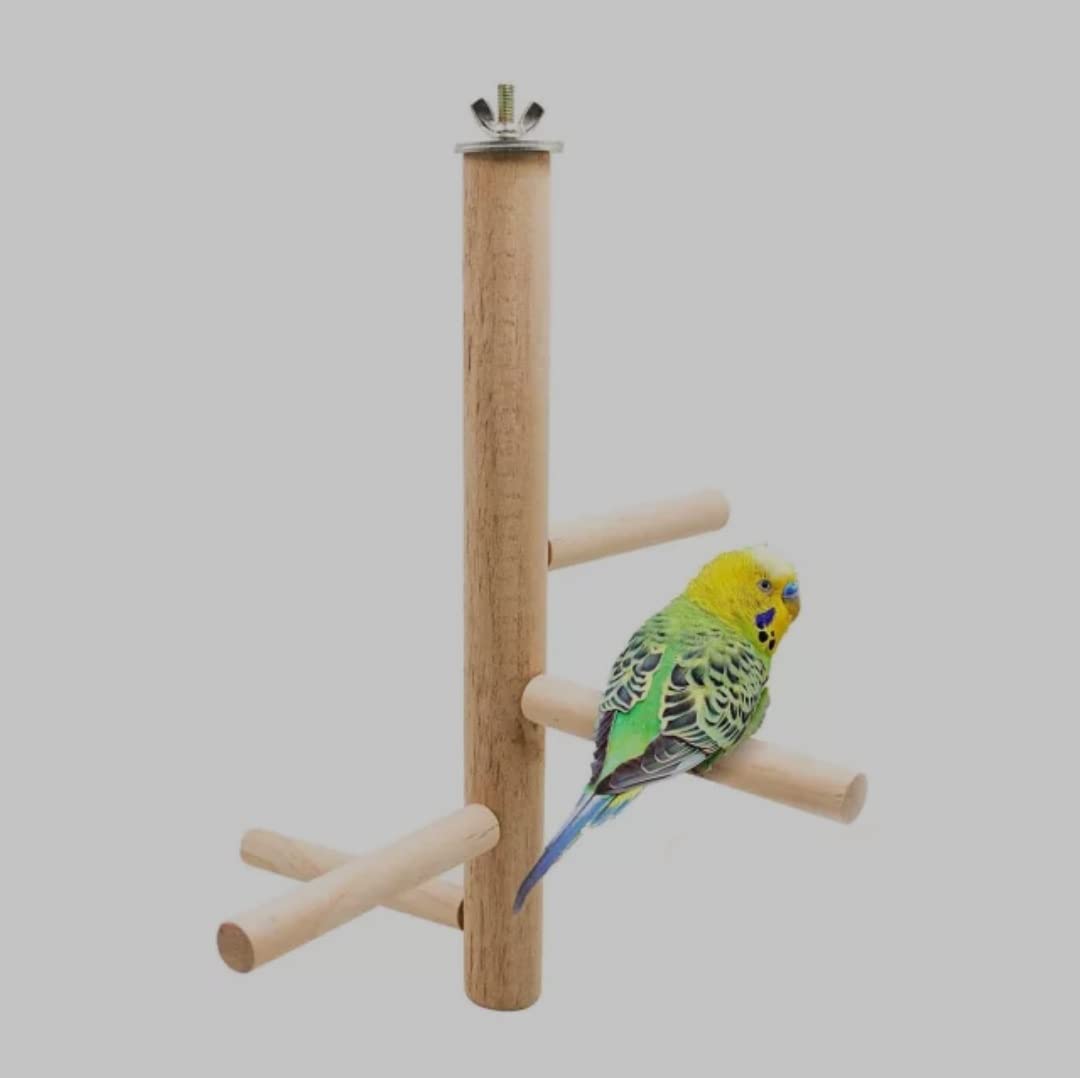 See full amazon price history chart for FunMart Tree Type Perch Stand with 4 Branches, Made of untreated Natural Wood (Main stem Length 10 Inches) FunMart Tree Type Perch Stand with 4 Branches, Made of untreated Natural Wood (Main stem Length 10 Inches) (B082DJQ5VM) Amazon Price History, Amazon Price Tracker