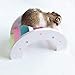 zswell Hamster Toys Wood Bridge Rainbow Climb Kit and Exercise Wheel Jogging Running Silent Spinner Hamster Flying Saucer