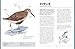 The Bird Book: A curious compendium of 50 wild birds