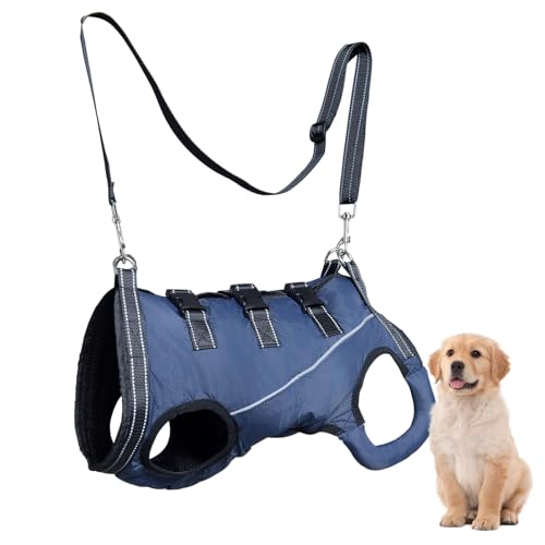 Dog Lift Harness for Senior & Injured Dogs – Full Body Mobility Support Sling, Adjustable Aid for Walking, Arthritis & Joint Pain, Help on Stairs (Small)