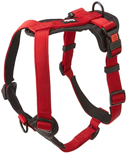 Harnais Karlie rouge réglable 60-76 cm à sangle robuste 25 mm