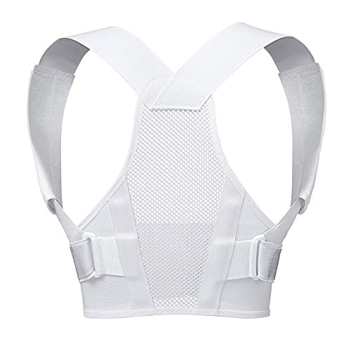 p wxg KŌy ϋv w̎ƌ̒ɂ݂a炰܂ UgENŴ܂Ȍ^ǂ̈py܂,ubN,XS charitable