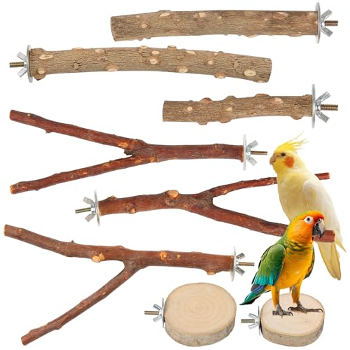 Naturholz-Sitzstangen im Achterset