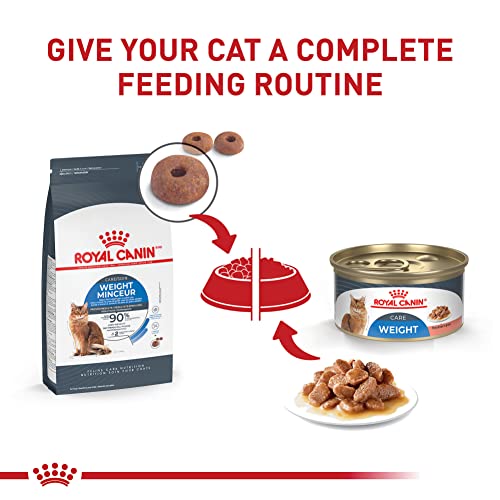 Royal Canin 175013 Feline Weight Care Thin Slices In Gravy Canned Adult Wet Cat Food thumb #5