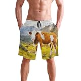 LORONA Badehose, Kuh, Berg, Landschaft, Natur, Boardshorts, schnelltrocknend Gr. XL, mehrfarbig