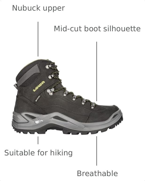 Image of Lowa Women's Renegade GTX Mid Hiking Boot