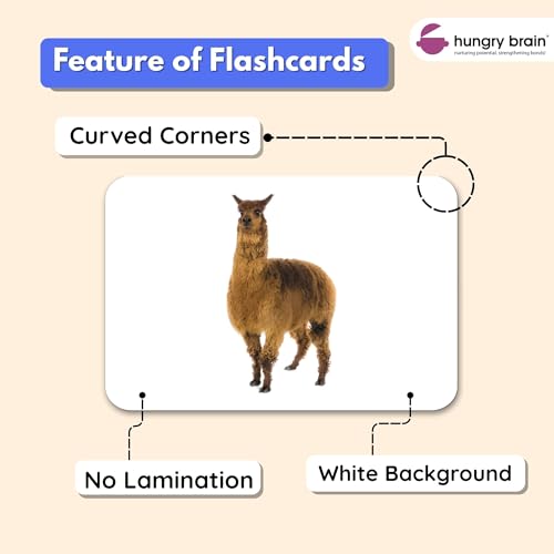 Image of Hungry Brain Domestic Animals Kids Flash Cards | Early Learning Picture Cards | Montessori Educational Toy | Age 3 Month to 6 Years