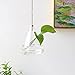 Glass Hanging Planter Plant Terrarium Hanging Propagation Station Container for Hydroponic Plants Home Garden Decor 3 Type