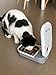 Closer Pets Automatic Timed Feeders with Stainless Steel Inserts (1 Bowl with Stainless Steel Insert)