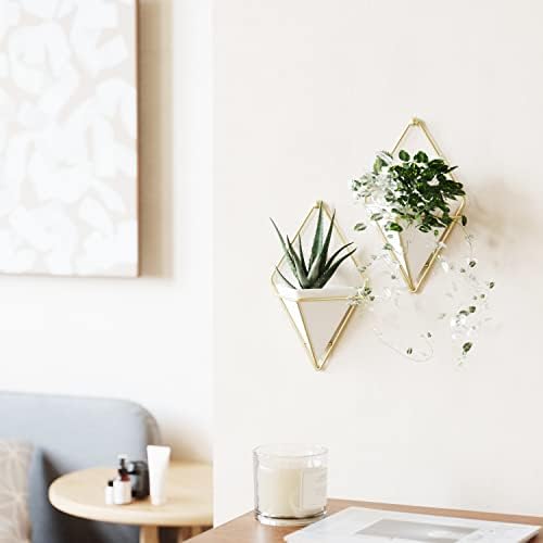 Umbra Trigg Hanging Planter Vase & Geometric Wall Decor Concrete Container - Great For Succulent Plants, Air Plant, Mini Cactus, Faux Plants and More, Set of 2, Small, White/Brass