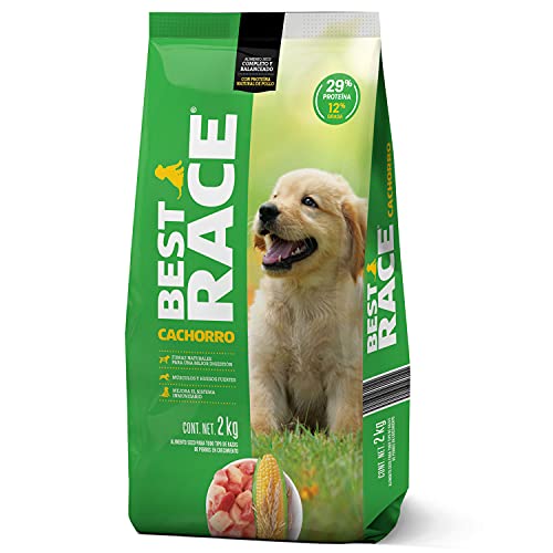 Listado De Campeon Croquetas Los 5 Mejores. Las Mejores Reviews De