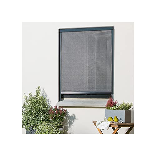 MADECOSTORE Moustiquaire enroulable en alu Gris anthracite pour fenêtre - L80 x H130cm - Recoupable
