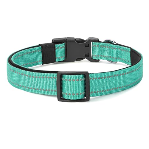 Image of Reflective Dog Collar, Adjustable Nylon for Puppy, Teal XS