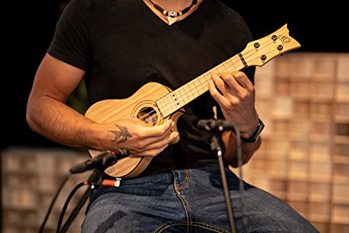 Ukulélé Soprano électro-acoustique Ortega Guitars – Série Bamboo – avec housse Deluxe – bambou (RUNAB-SO) - Les Beatles, Paul McCartney, John Lennon, RIngo Starr, George Harrison Ukulélé Soprano électro-acoustique Ortega Guitars - Série Bamboo - avec housse Deluxe - bambou (RUNAB-SO) – Image 6