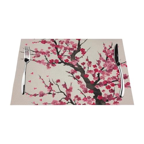 Sets de table tissés de qualité supérieure en PVC lavable lot de 4