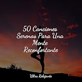 Serenidad De Los Chacras