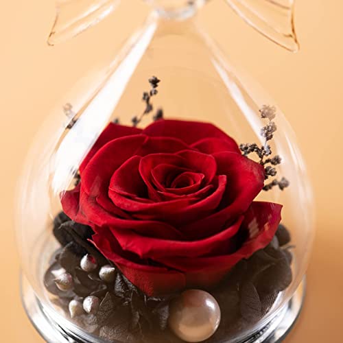 Sunia Preserved Red Rose Gift, Angel Figurine Forever Flower Gift Christmas Day Birthday Valentines Thanksgiving Mothers Gift For Mom Grandma Best Friend #TOP2