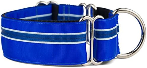 If It Barks - 1.5" Martingale Collar for Dogs - Adjustable - Nylon - Strong and Comfy - Ideal for Training - Made in USA - Medium, Blueberry