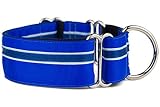 If It Barks - 1.5" Martingale Collar for Dogs - Adjustable - Nylon - Strong and Comfy - Ideal for Tr