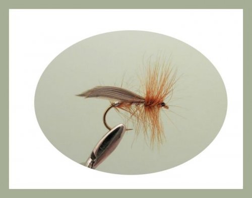 Sedge Trout Fly, 6 Pack Silver Sedge Fishing Flies, Size 10, For Fly Fishing