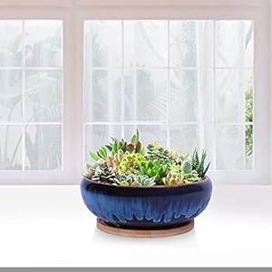 SQOWL 7 Inch Round Ceramic Succulent Planter Pot Drip Glazed Shallow Planter with Drainage Bamboo Tray for Indoor Plants SQOWL 7 Inch Round Ceramic Succulent Planter Pot Drip Glazed Shallow Planter with Drainage Bamboo Tray for Indoor Plants