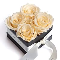 ROSEMARIE SCHULZ® Heidelberg Rose Box, La Vie en Roses 4 collection, preserved roses will last 3 years, flower box, for love greetings, engagements, marriage proposals, Modern