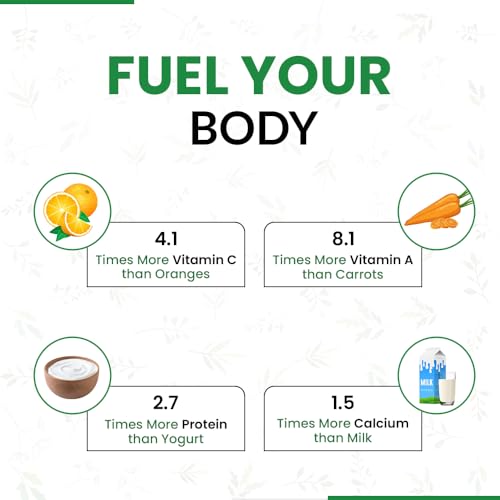 Image of Matsyaveda Moringa Ayurvedic Supplements |Natural Moringa Capsules for Daily Energy Immunity and Overall Wellness|Pack of 1 X 60 Capsules