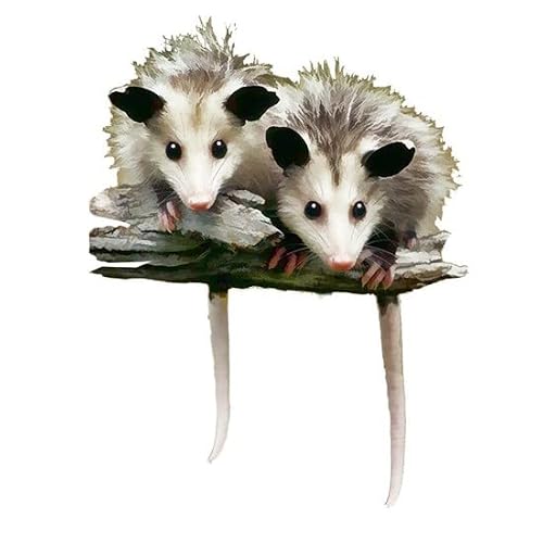 Cafepress Baby Possums On A Branch Mugs Ceramic Coffee Mug, Tea Cup 11 Oz #TOP1