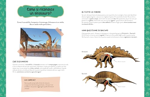 Dinosauri 3D Da Costruire. Ediz. A Colori. Con 7 Dinosauri 3D - 2