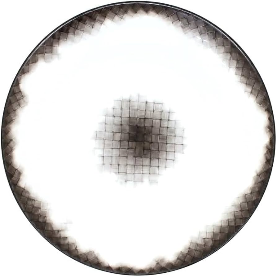 Bottega Veneta（ボッテガ・ヴェネタ）　大皿・サービスプレート Amazon.co.jp: ボッテガヴェネタ KPM BERLINEイントレレプリント磁器