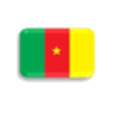 Articles Constitution Cameroon