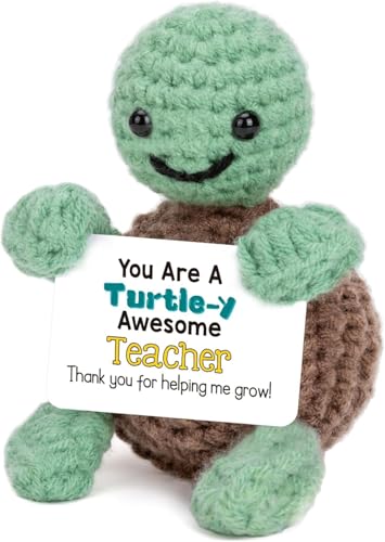 Mini Funny Turtle Teacher Appreciation Gifts for Women Men End of Year Thank You Teacher Gifts Ideas Cool Small Cute Things Handmade Emotional Positive Crochet Turtle