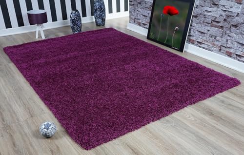 Image of zia carpets Cozy Soft Shaggy Non Slip Carpet for Home Decor Aesthetic Rugs with 2.5 inch Thikness Size 4x6 feet