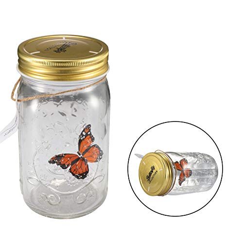 Butterfly in a Jar, Airlxf Glass Animated Butterfly In A Jar With LED Light Gift Decoration (Orange)