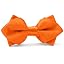 Pumpkin Orange
