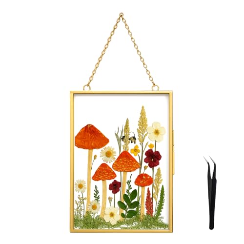 BABUFINE Pressed Flower Frames with Tweezers, Wall Hanging Double Glass Picture Frames with Chain for Dried Flowers Plants Wall Decor,Only Frame (Gold-1PCS)
