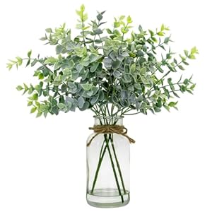 Fake Eucalyptus Stems in Glass Vase with Faux Water,14" Artificial Plants Eucalyptus Leaves for Home Office, Farmhouse and Wedding Centerpieces(Green) Fake Eucalyptus Stems in Glass Vase with Faux Water14 Artificial Plants Eucalyptus Leaves for Home Office Farmhouse and Wedding CenterpiecesGreen