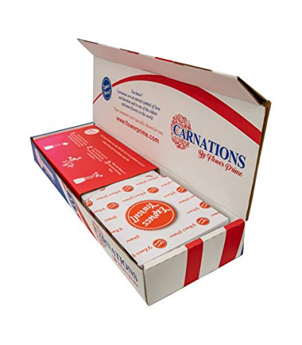 Flowerprime 100 Easter Carnations - Special Holiday Variety Pack Fresh Natural Cut Flowers #TOP5