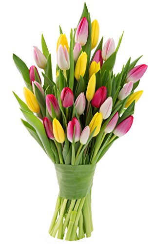 Image of KaBloom-30 Assorted Tulip Bouquet,Flowers for Valentine, Mother's Day