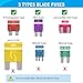 Nilight - 50019R 272pcs Standard & Mini & Low Profile Mini Blade Fuse Assortment, 2A 5A 10A 15A 20A 25A 30A 35A Replacement Fuses for Car Boat Truck SUV Automotive